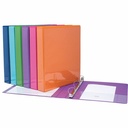 Binder with inside and outside sleeves, D rings, 2.54 cm (1"), Ass. Col.