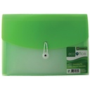 Expandable File, 13 pockets, Clear front, Letter