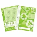 Geo Eco Quadruled Notebook EC 103B, 1 cm, 40 pages