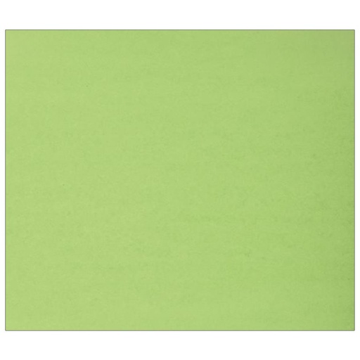 Bristol Board, 55.9 x 71 cm, Green (Not available for home delivery)