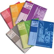 Louis Garneau Spiral Notebook, Quadruled, 200 detachable pages