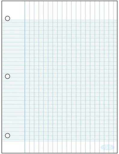 Standard Seyes Notepad Ecolo #13B, 3 holes, 50 sheets