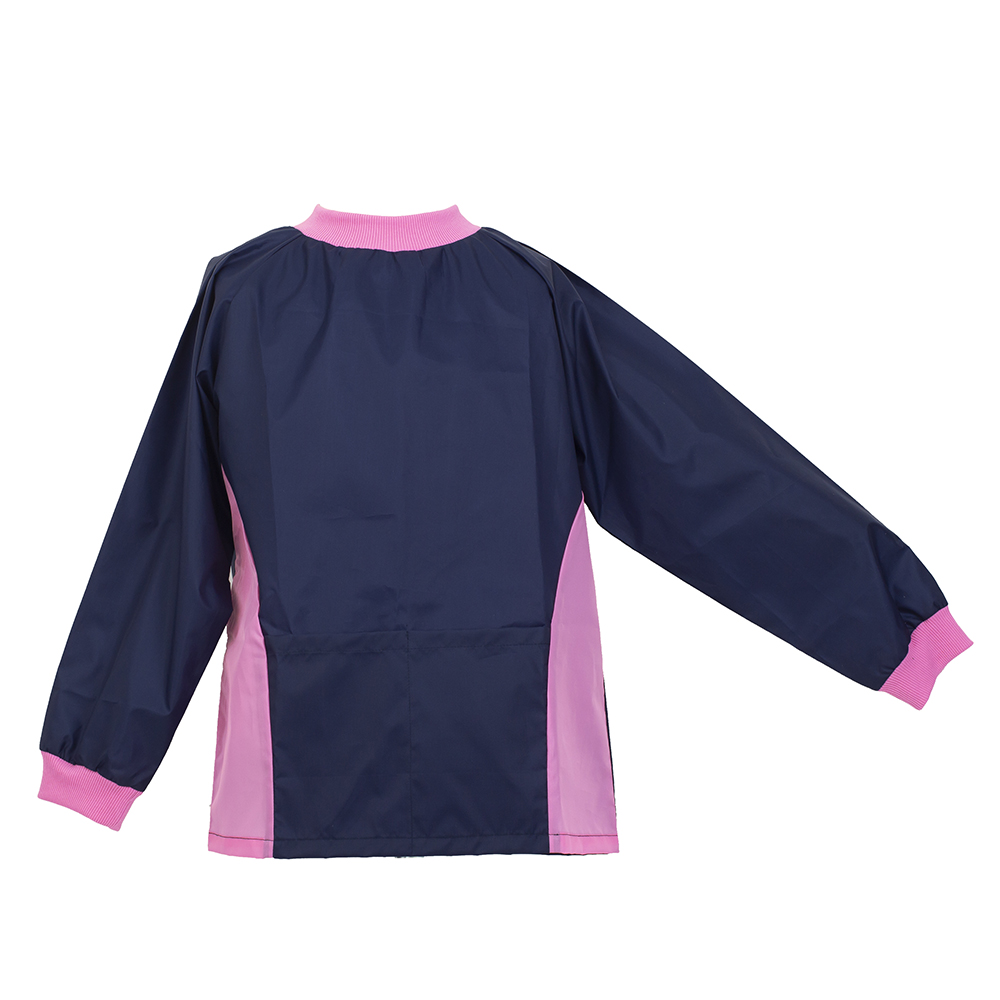 Smock, 4 years, Blue and Pink 